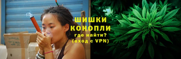 метадон Белокуриха