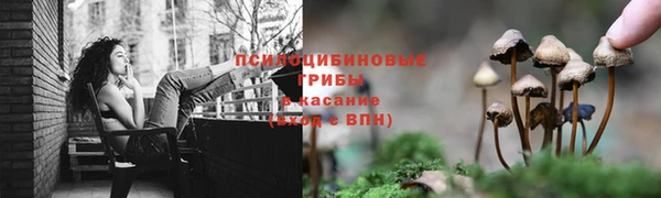 MDMA Беломорск